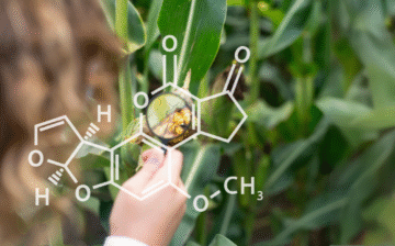 Level 1 Award: Fundamentals of Crop Production and Protection