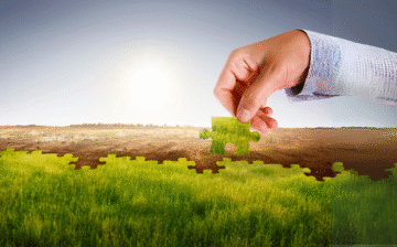 Level 4 Agricultural Climate Change Adaptation Strategies