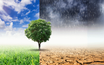 Level 5 Climate Resilience in Agricultural Engineering