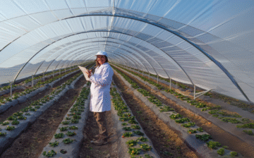 Level 6 Agricultural Engineering for Global Food Security